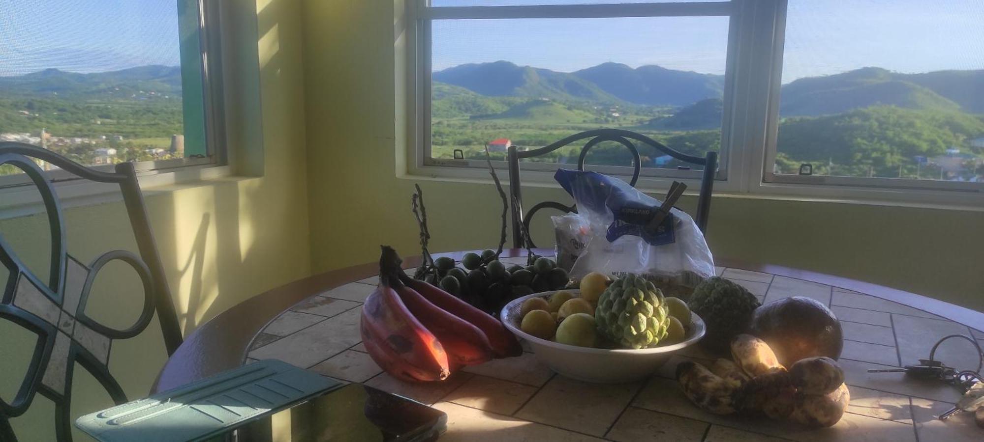 Zeus Estate Guesthouse St. John's Екстер'єр фото